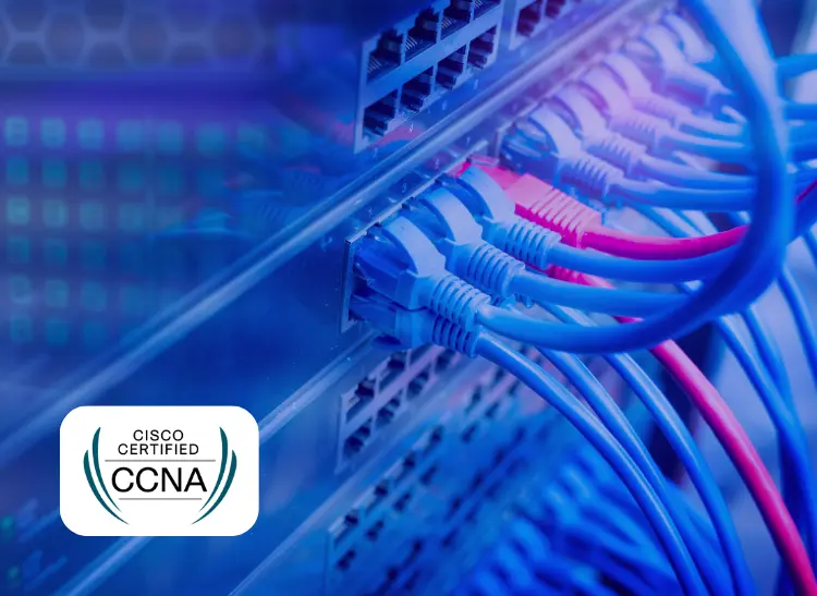 Certification in Networking - Cisco Certified Network Associate (CCNA)